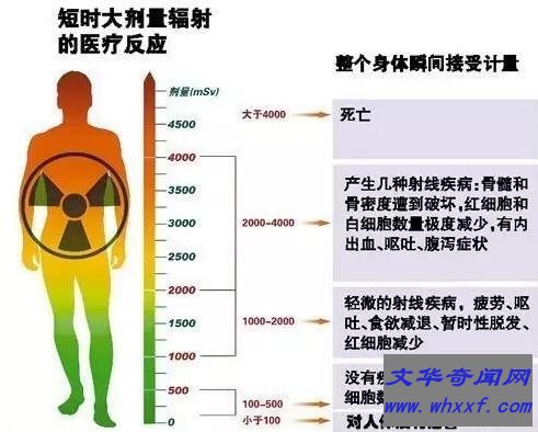 福岛50死士